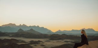 DMC Nedir? Ne İş Yapar