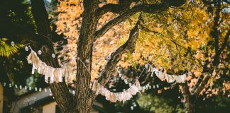 Sürdürülebilir Etkinlik Organizasyonu: Çevre Dostu Etkinlikler İçin Rehber