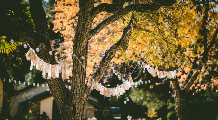 Sürdürülebilir Etkinlik Organizasyonu: Çevre Dostu Etkinlikler İçin Rehber