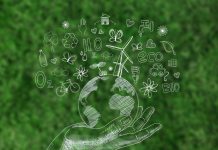 Sürdürülebilir Etkinlikler Tasarlamak: Çevresel Etkiyi Azaltma ve Pozitif Değer Oluşturma Rehberi IMG 0059