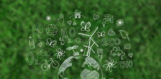 Sürdürülebilir Etkinlikler Tasarlamak: Çevresel Etkiyi Azaltma ve Pozitif Değer Oluşturma Rehberi IMG 0059