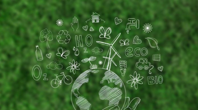 Sürdürülebilir Etkinlikler Tasarlamak: Çevresel Etkiyi Azaltma ve Pozitif Değer Oluşturma Rehberi IMG 0059