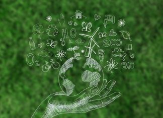 Sürdürülebilir Etkinlikler Tasarlamak: Çevresel Etkiyi Azaltma ve Pozitif Değer Oluşturma Rehberi IMG 0059